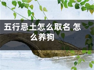 五行忌土怎么取名 怎么养狗 