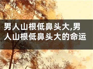 男人山根低鼻头大,男人山根低鼻头大的命运