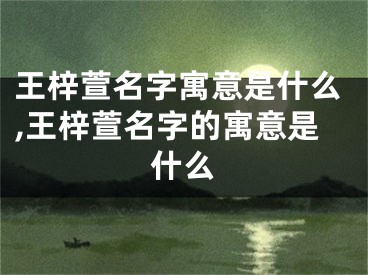 王梓萱名字寓意是什么,王梓萱名字的寓意是什么