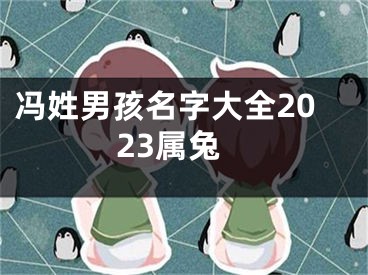 冯姓男孩名字大全2023属兔