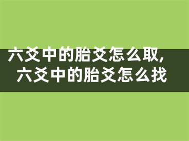 六爻中的胎爻怎么取,六爻中的胎爻怎么找