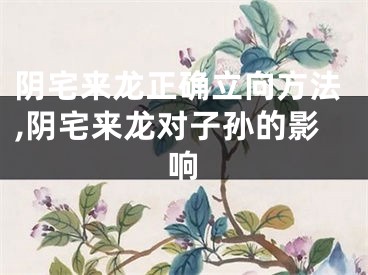 阴宅来龙正确立向方法,阴宅来龙对子孙的影响