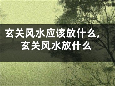 玄关风水应该放什么,玄关风水放什么