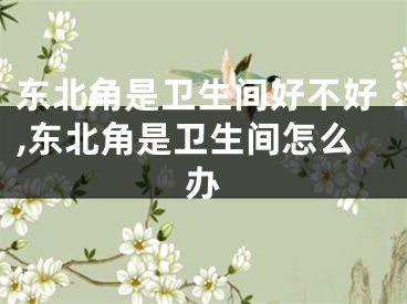 东北角是卫生间好不好,东北角是卫生间怎么办