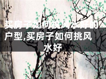 买房子如何挑风水好的户型,买房子如何挑风水好