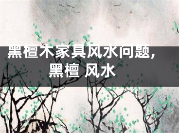 黑檀木家具风水问题,黑檀 风水