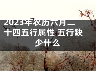 2023年农历六月二十四五行属性 五行缺少什么