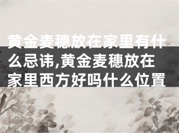 黄金麦穗放在家里有什么忌讳,黄金麦穗放在家里西方好吗什么位置