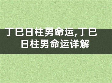 丁巳日柱男命运,丁巳日柱男命运详解
