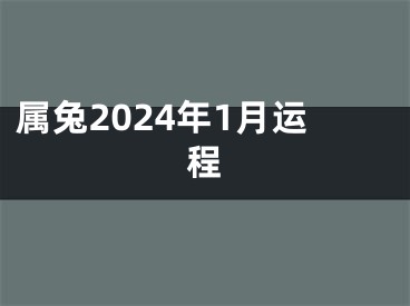 属兔2024年1月运程