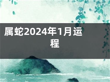 属蛇2024年1月运程