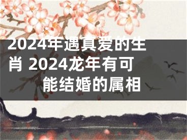 2024年遇真爱的生肖 2024龙年有可能结婚的属相