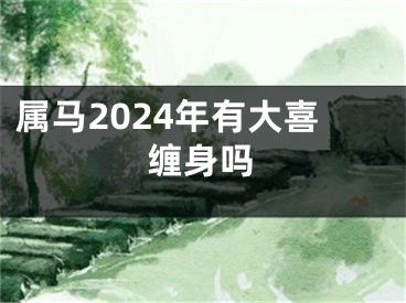 属马2024年有大喜缠身吗