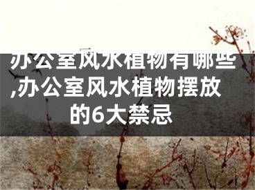 办公室风水植物有哪些,办公室风水植物摆放的6大禁忌