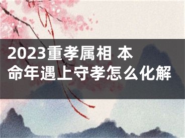 2023重孝属相 本命年遇上守孝怎么化解
