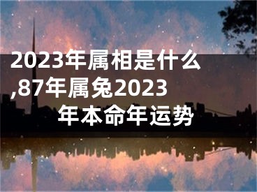 2023年属相是什么,87年属兔2023年本命年运势