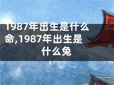 1987年出生是什么命,1987年出生是什么兔