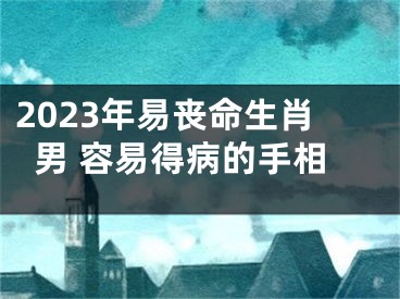 2023年易丧命生肖男 容易得病的手相