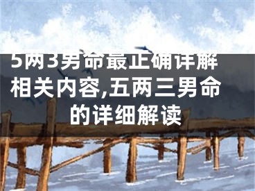 5两3男命最正确详解相关内容,五两三男命的详细解读