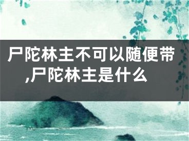 尸陀林主不可以随便带,尸陀林主是什么