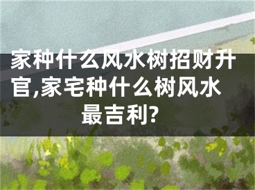 家种什么风水树招财升官,家宅种什么树风水最吉利?