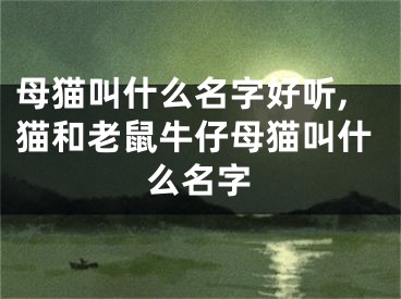 母猫叫什么名字好听,猫和老鼠牛仔母猫叫什么名字