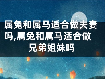 属兔和属马适合做夫妻吗,属兔和属马适合做兄弟姐妹吗