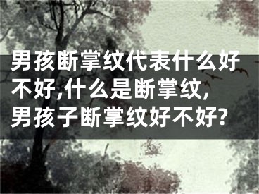 男孩断掌纹代表什么好不好,什么是断掌纹,男孩子断掌纹好不好?