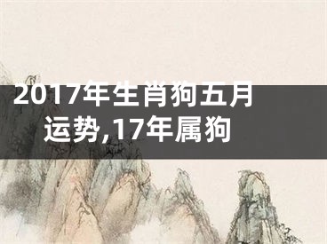 2017年生肖狗五月运势,17年属狗