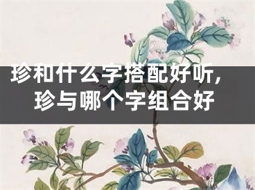 珍和什么字搭配好听,珍与哪个字组合好