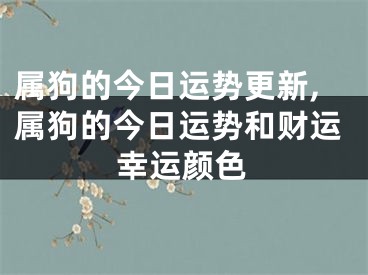 属狗的今日运势更新,属狗的今日运势和财运幸运颜色
