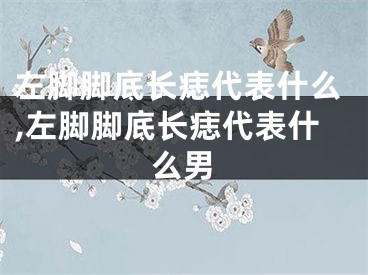 左脚脚底长痣代表什么,左脚脚底长痣代表什么男