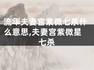 流年夫妻宫紫微七杀什么意思,夫妻宫紫微星七杀