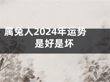 属兔人2024年运势是好是坏