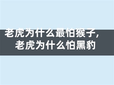 老虎为什么最怕猴子,老虎为什么怕黑豹