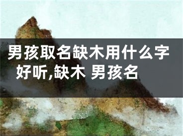 男孩取名缺木用什么字好听,缺木 男孩名