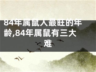 84年属鼠人最旺的年龄,84年属鼠有三大难
