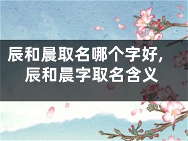 辰和晨取名哪个字好,辰和晨字取名含义