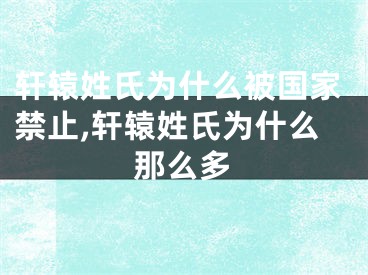 轩辕姓氏为什么被国家禁止,轩辕姓氏为什么那么多
