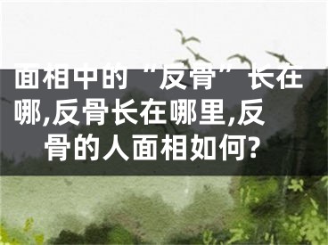 面相中的“反骨”长在哪,反骨长在哪里,反骨的人面相如何?