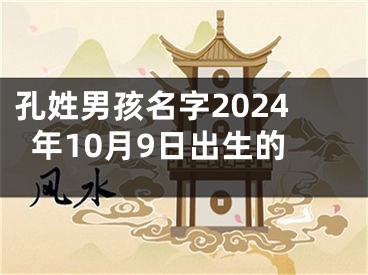 孔姓男孩名字2024年10月9日出生的