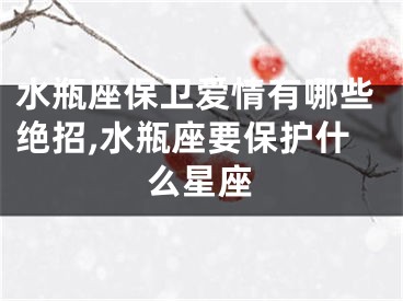 水瓶座保卫爱情有哪些绝招,水瓶座要保护什么星座