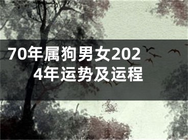 70年属狗男女2024年运势及运程