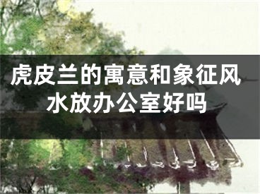 虎皮兰的寓意和象征风水放办公室好吗