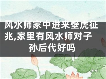 风水师家中进来壁虎征兆,家里有风水师对子孙后代好吗
