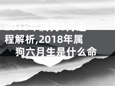 2018年属狗6月运程解析,2018年属狗六月生是什么命