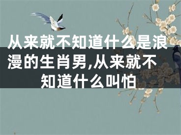 从来就不知道什么是浪漫的生肖男,从来就不知道什么叫怕