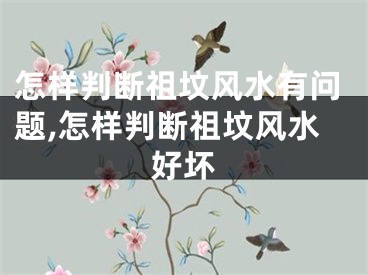 怎样判断祖坟风水有问题,怎样判断祖坟风水好坏