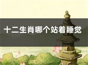 十二生肖哪个站着睡觉