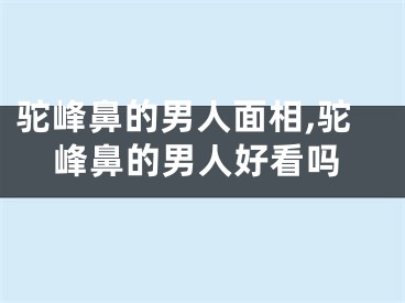 驼峰鼻的男人面相,驼峰鼻的男人好看吗